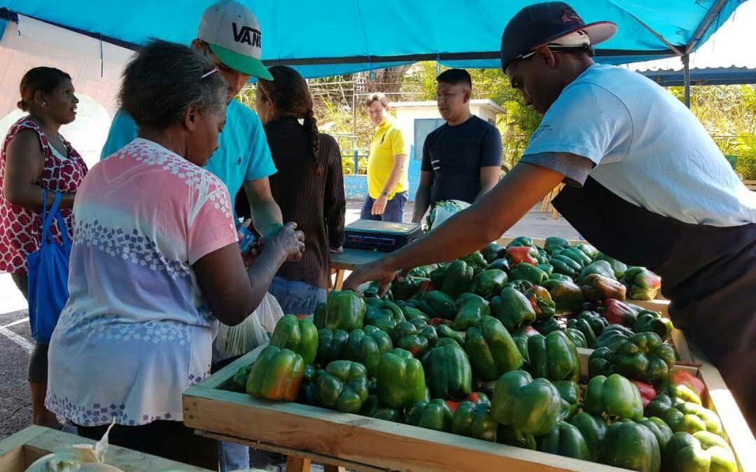 <strong>Más de 460 toneladas de alimentos se distribuyeron en julio</strong>