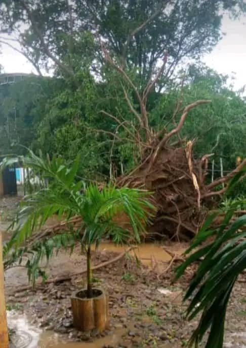 Más de 40 familias afectadas por lluvias y fuertes vientos en Anzoátegui
