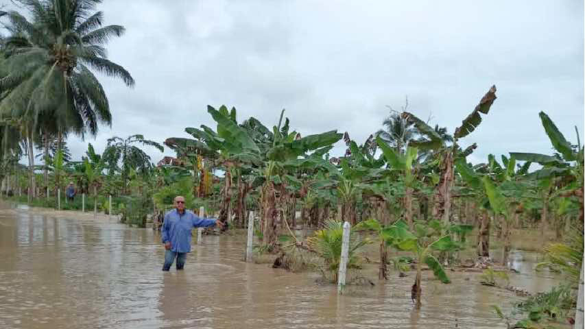Fedeagro reportó afectaciones de cultivos por lluvias