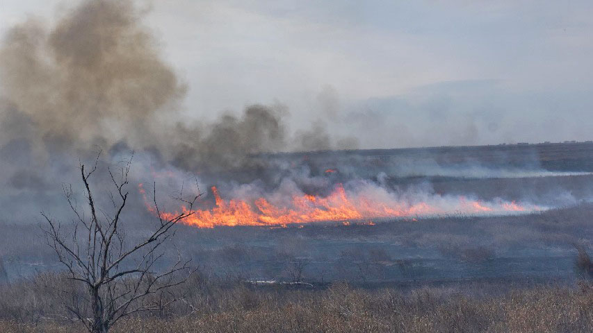 Argentina refuerza operativos para combatir incendios