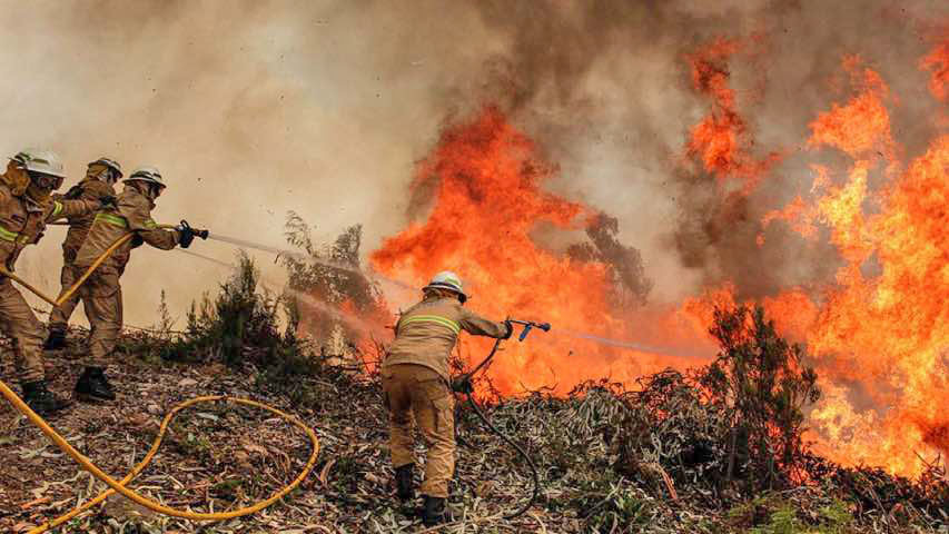 Portugal combate incendios en norte y centro en el primer día de alerta