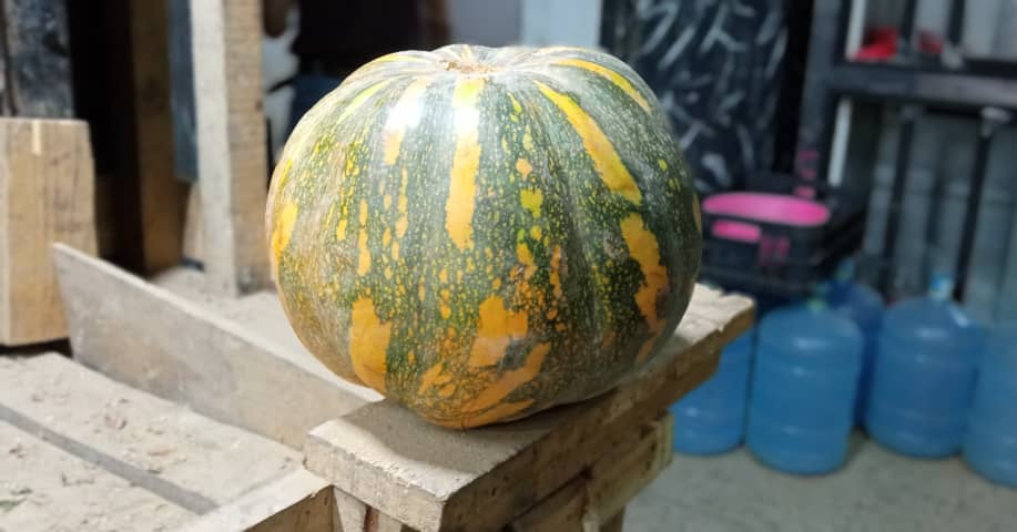 Auyama sigue entre las verduras más accesibles