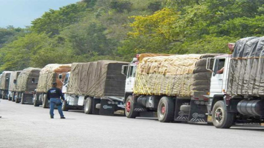 Procedimientos en alcabalas para transporte de alimentos tendrán límite de tiempo