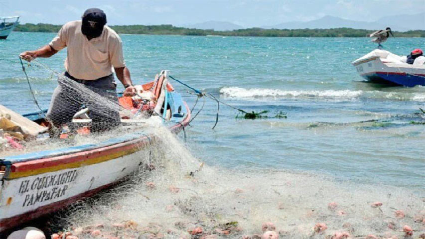 Pescadores paralizan actividades por fallas para surtir combustible