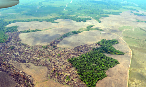 La deforestación en la Amazonía se dispara un 80 %