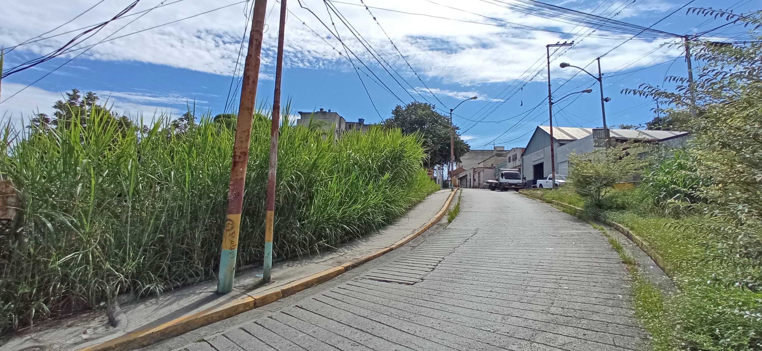 En Punta Brava la maleza limita el paso de transeúntes