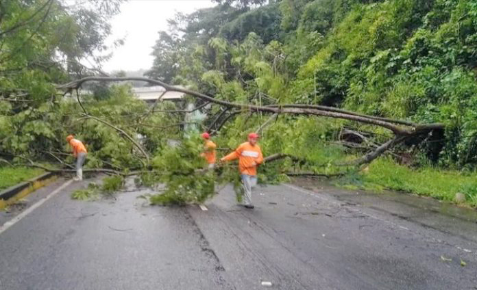 <strong>En Trujillo atienden afectaciones causadas por las lluvias</strong>