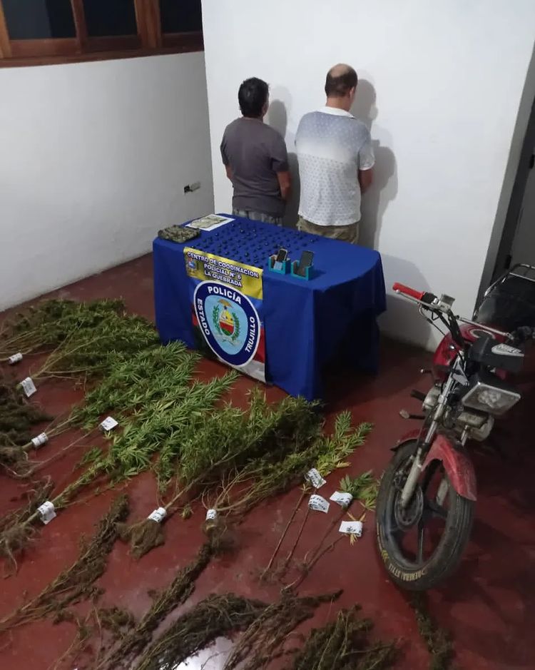 <strong>Arrestan a dos personas por siembra y distribución de marihuana</strong>