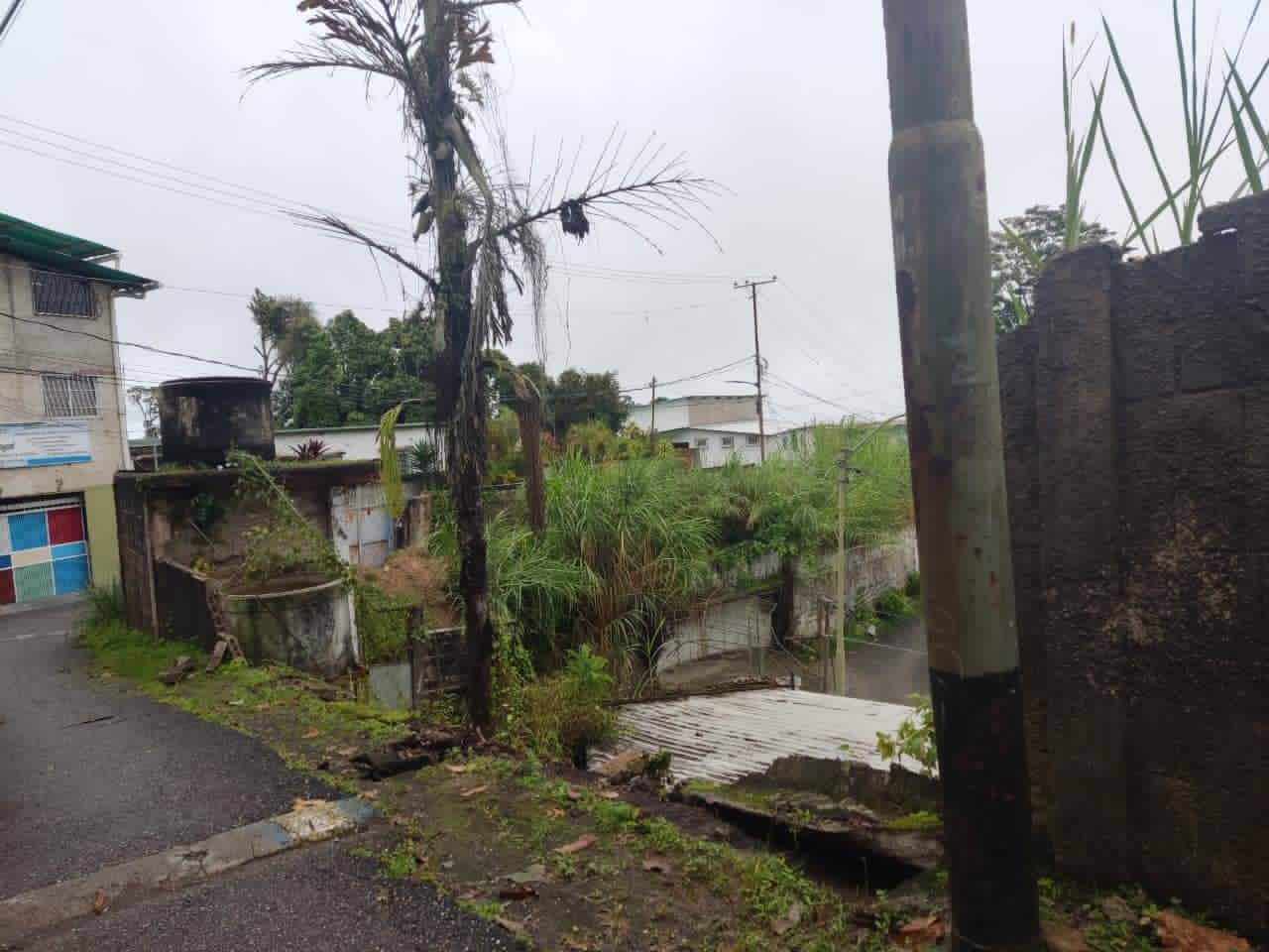 “La fuerza de la lluvia terminó por derrumbar la pared”
