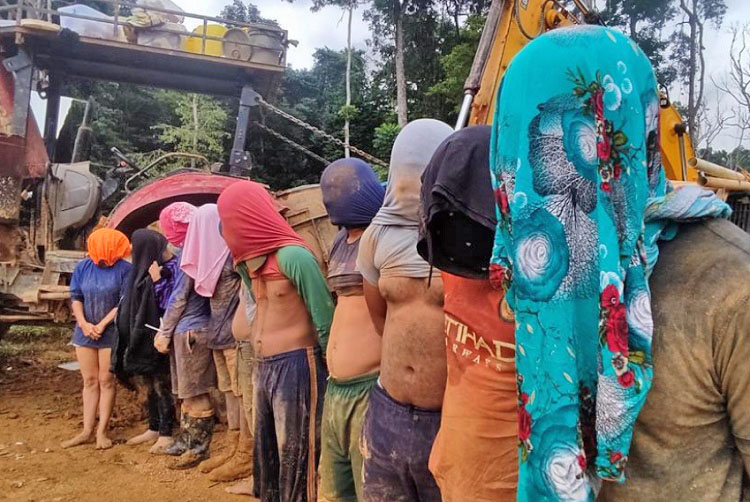 11 sujetos fueron detenidos por destruir reserva forestal