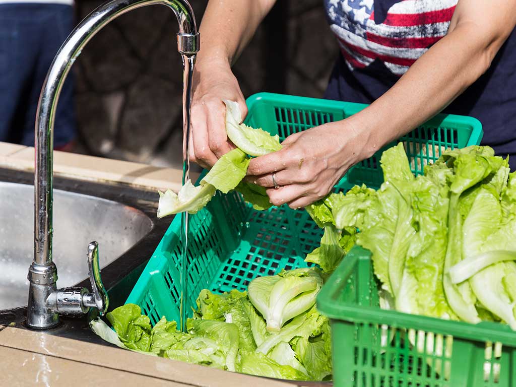 Alimentos contaminados pueden generar graves peligros a la salud