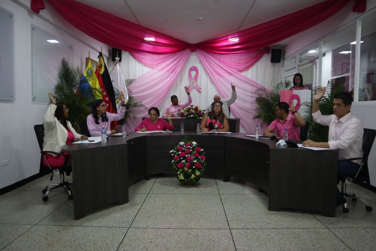 <strong>Caminata Rosa en Carrizal el 28-O</strong>