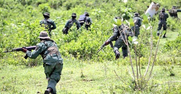 ONG registró durante octubre 37 homicidios en seis estados fronterizos de Venezuela