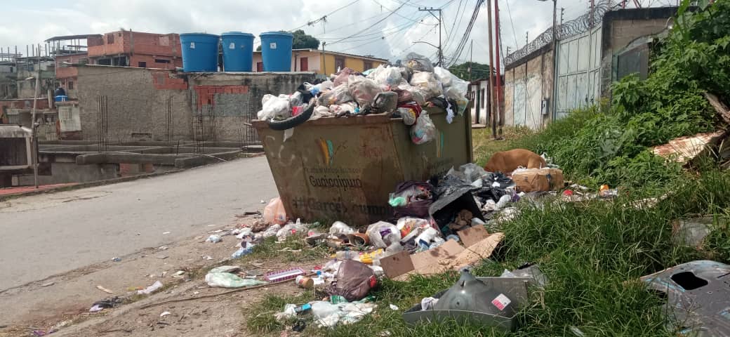 “No buscan la basura de forma constante”