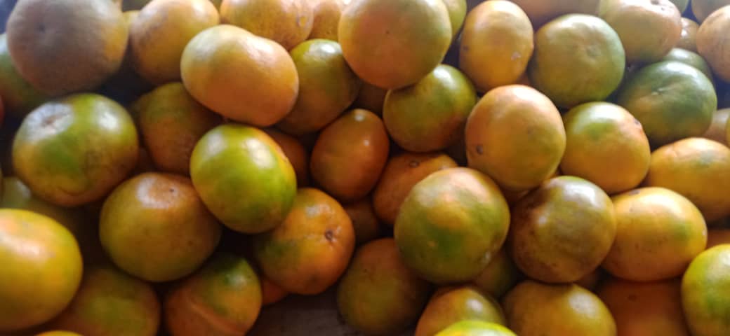 “La mandarina se ha vuelto más que un lujo”