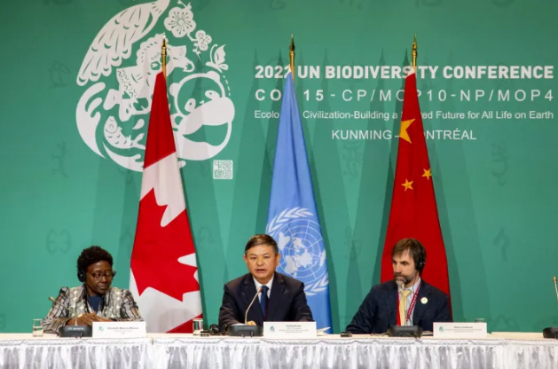 COP15 acuerda proteger el 30% del planeta para preservar la biodiversidad