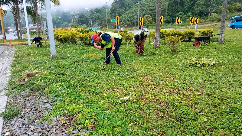 <strong>Realizan desmalezamiento de la redoma de Los Lagos</strong>