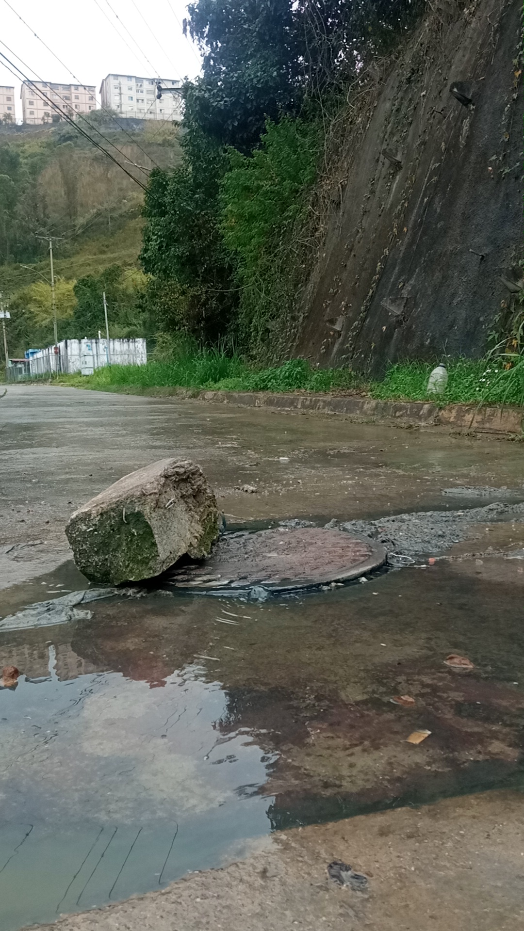 <strong>Vecinos de Alto Verde viven entre aguas residuales</strong>