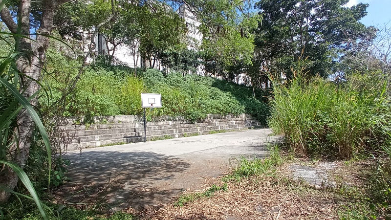 <strong>Cancha de la Cascarita tiene una década en total abandono</strong>