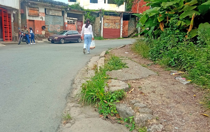 En total abandono aceras y vía principal de La Cascarita