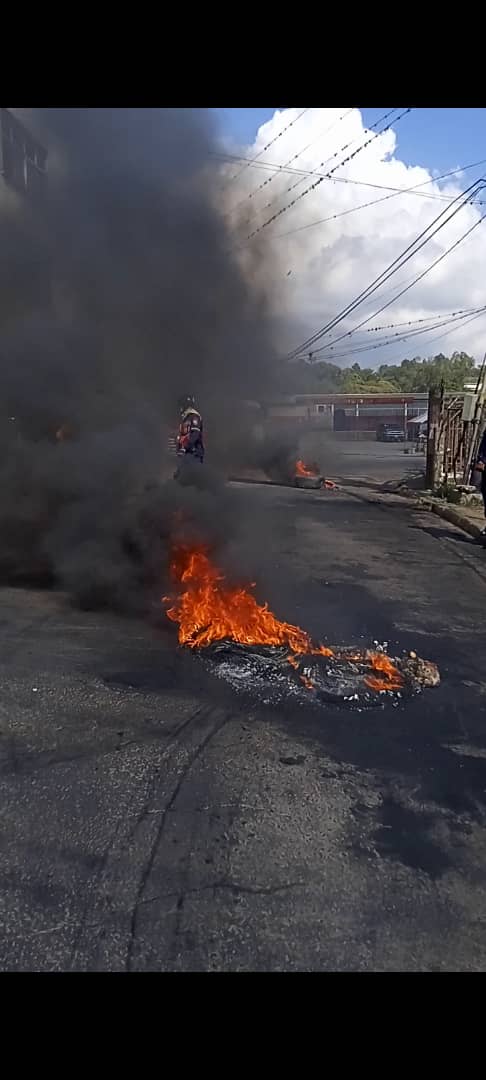 Enjambre de abejas atacó a tres personas en El Paso