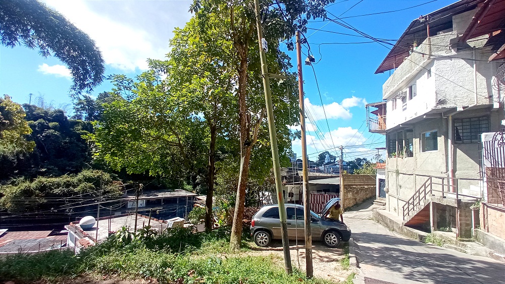 <strong>Vecinos alertan sobre posible caída de árbol en Las Américas</strong>