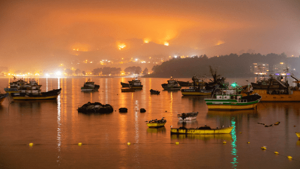 Chile reporta más de 300 incendios forestales activos