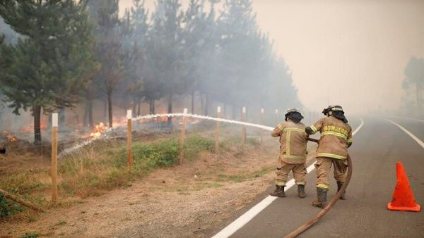 Aumenta a 24 cifra de muertos por incendios forestales en Chile