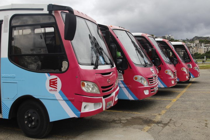 20 buses de Transmiranda se unen a rutas de Serie del Caribe