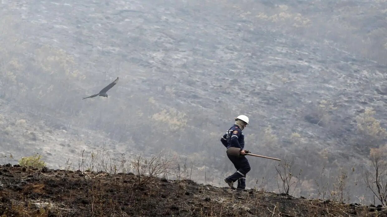 “El Niño” pone en alerta a Colombia y aumenta riesgo de incendios forestales