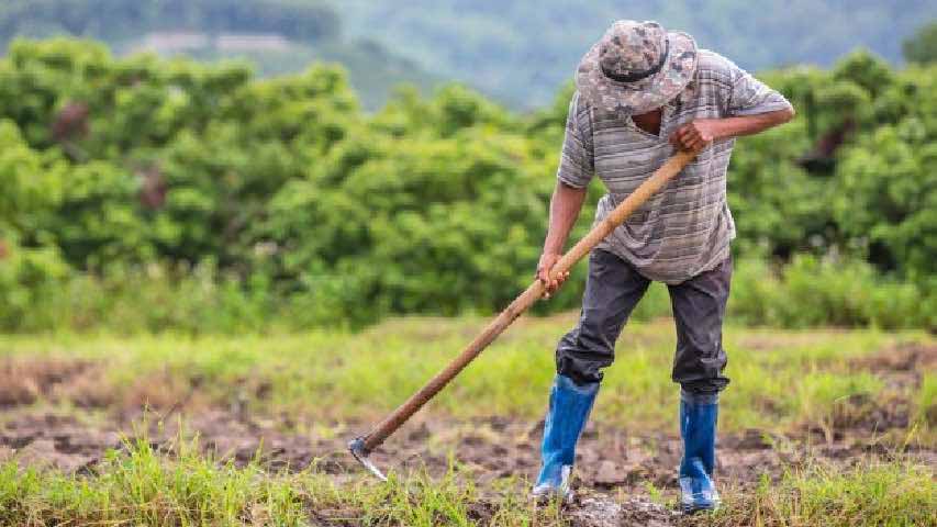 Agricultores de Mérida advierten sobre déficit de gasoil en la entidad