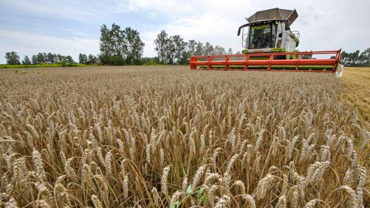 Turquía negocia con Ucrania y Rusia prórroga de 3 meses a acuerdo de cereal