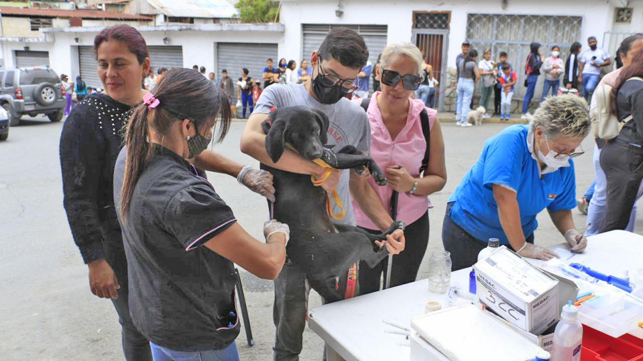 Más de 300 mascotas fueron atendidas en jornada integral en Carrizal