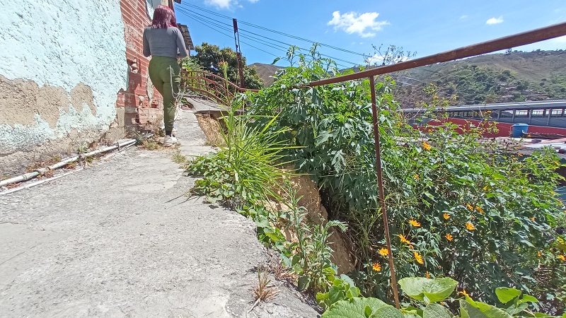 50 familias de Barrio Ayacucho perjudicadas por colapso de caminería