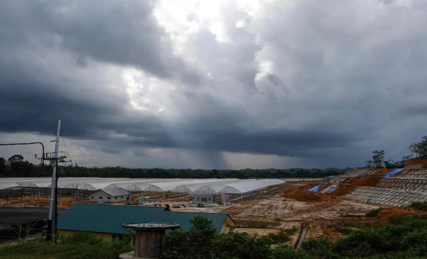 Elevan a 46 los muertos por corrimiento de tierra en Indonesia