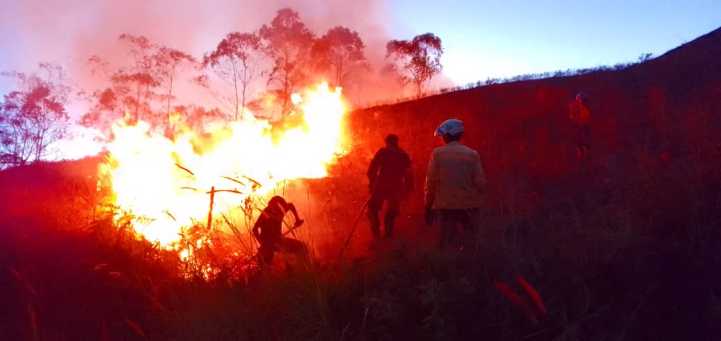 Se registran 11 incendios en Carrizal durante Semana Santa