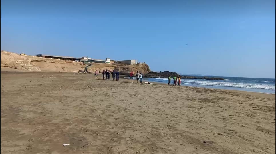 Hijo de exconcejal de Guaicaipuro muere ahogado en playa de Perú