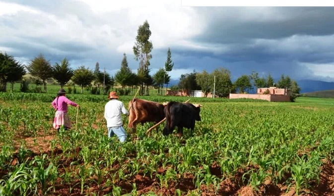 “Viene el pico de siembra y será traumático”