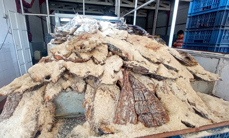 El pescado salado se cotiza entre $4,9 y $6,8
