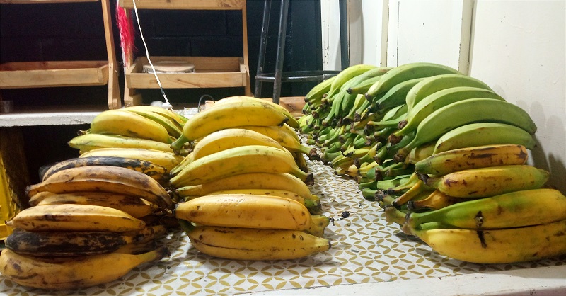 El plátano todavía está al alcance de los consumidores