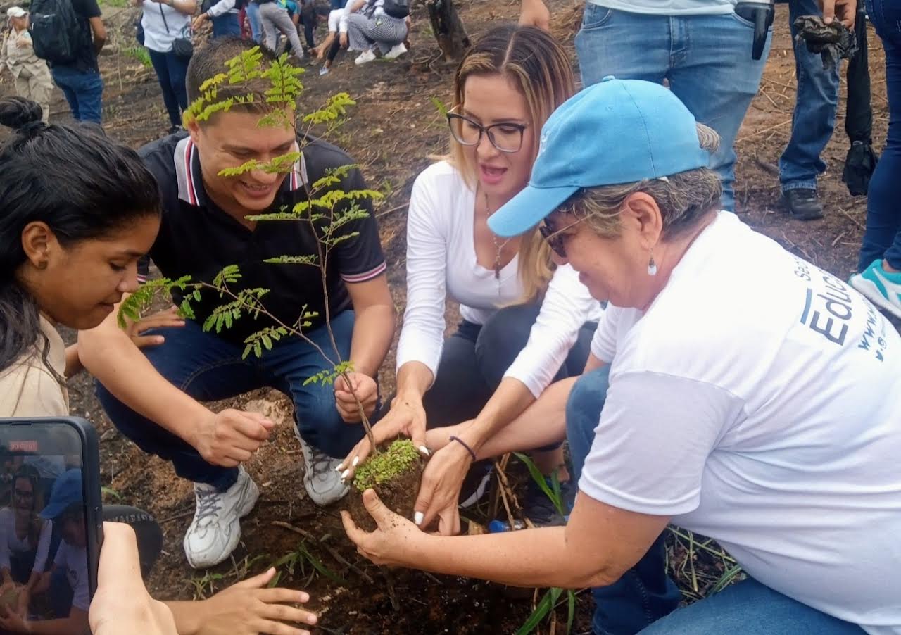 Estudiantes mirandinos participan en reforestación en el Waraira Repano