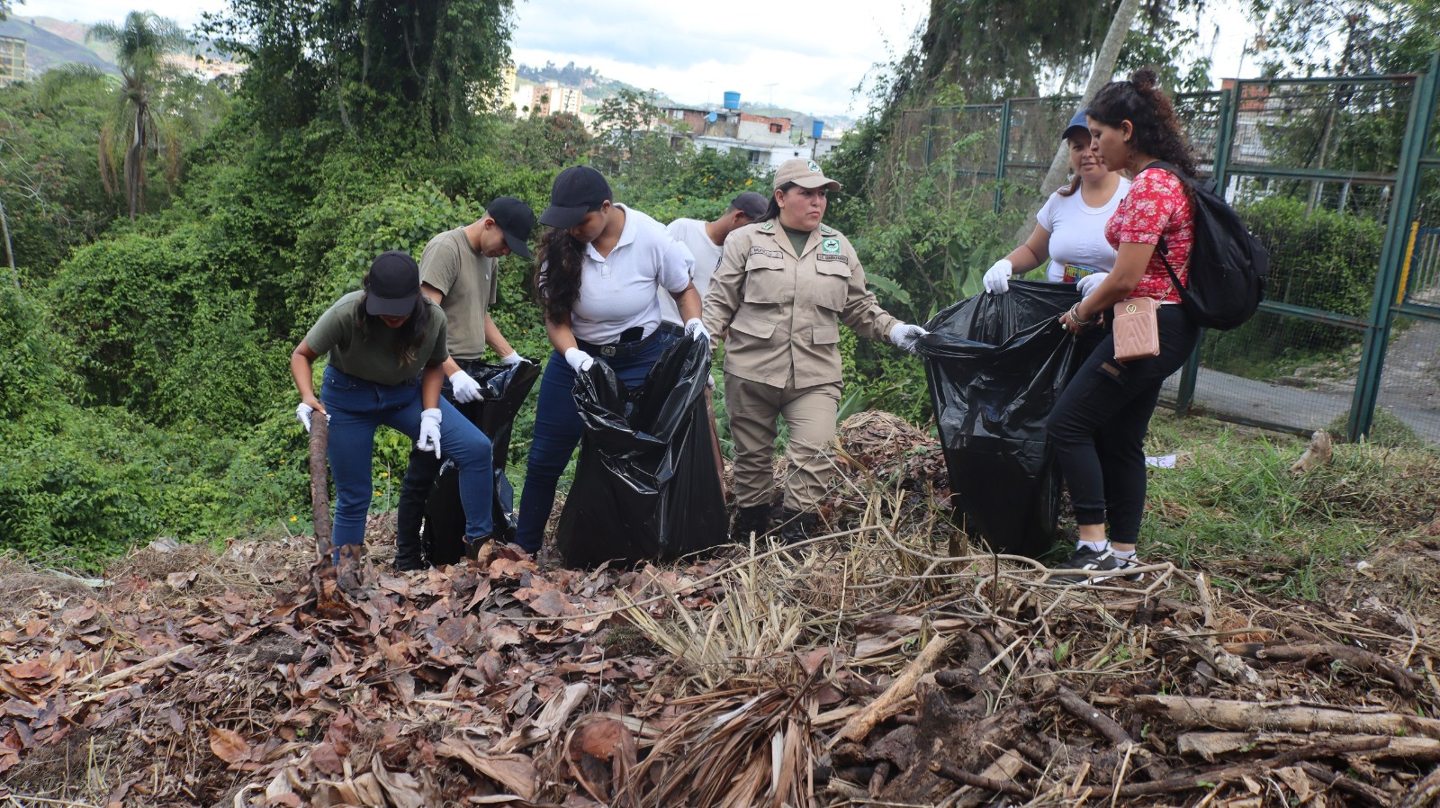 Plantarán 100 árboles en el Parque Gustavo Knoop