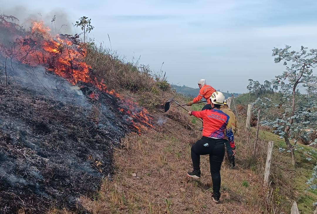 55 incendios han atendido en Carrizal durante 2023