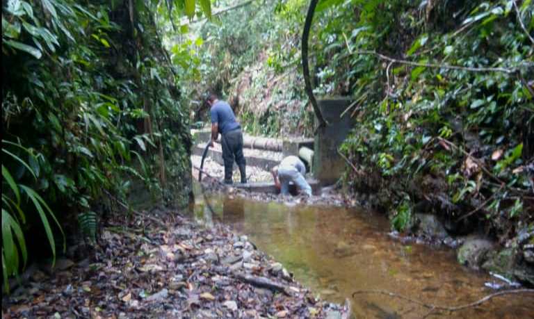 Activan plan de mantenimiento en Parque Nacional Macarao