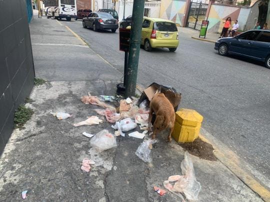 Señalan a comercio de generar caos con acumulación de basura