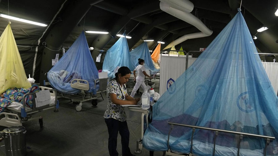Crisis del dengue en Perú ya deja más de 168.000 casos y cerca de 300 muertos