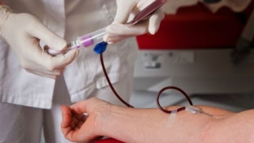 Más del 80% disminuyeron las donaciones de sangre en el país