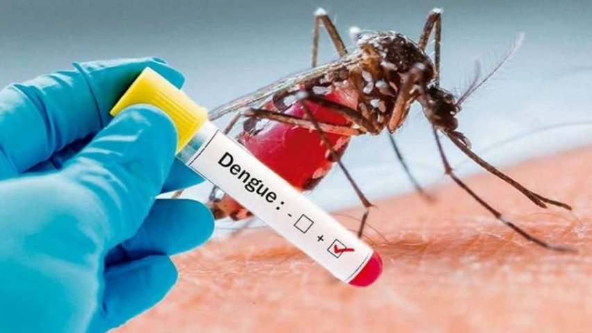 OMS alerta que el dengue en América puede aumentar en el segundo semestre