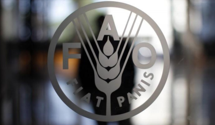 FAO anunció programa para apoyar a 175 mil venezolanos con la producción de alimentos
