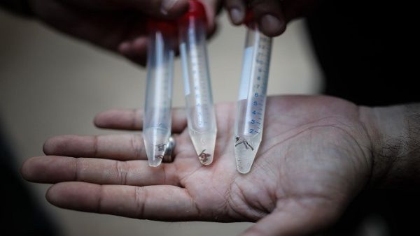 Argentina supera los 124 mil casos confirmados de dengue